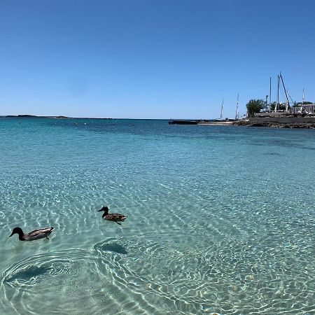 Il Canaletto Apartments Porto Cesareo Eksteriør bilde