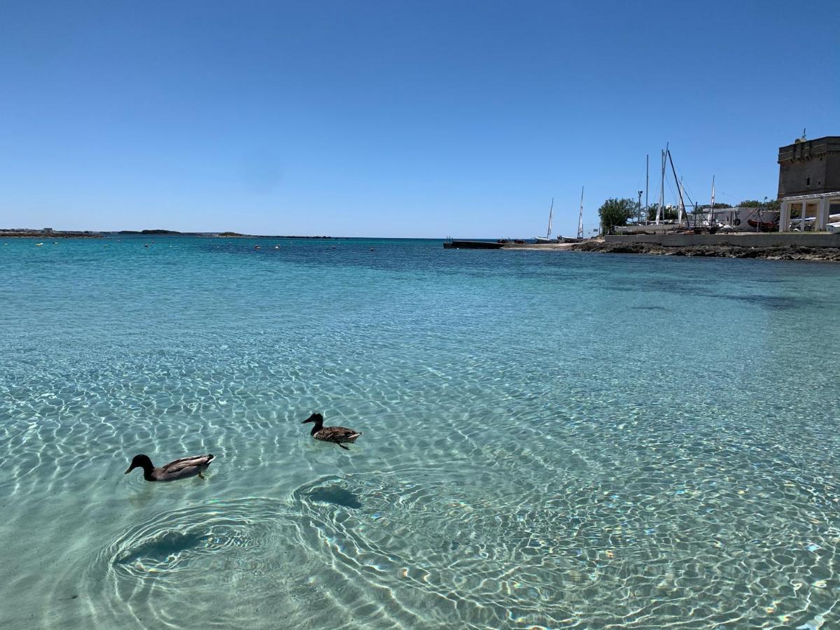 Il Canaletto Apartments Porto Cesareo Eksteriør bilde